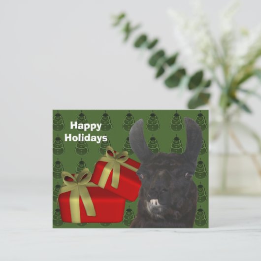 黒いラマの家畜のクリスマスの休日 シーズンポストカード (スタンド正面)