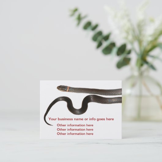 黒いリングや輪のネックのヘビの名刺 名刺 (スタンド正面)