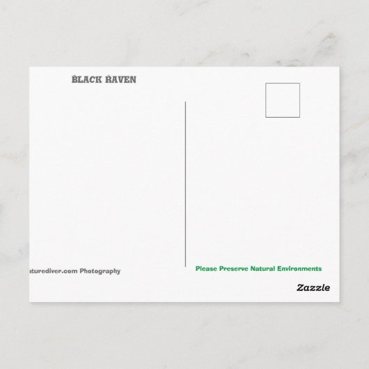 黒いレイベン – はがき (裏面)