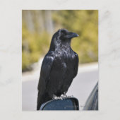 黒いレイベン – はがき (正面)