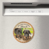 黒いロットワイラーかわいい子犬と悲しい顔 マグネット (インサイチュ (食洗機))