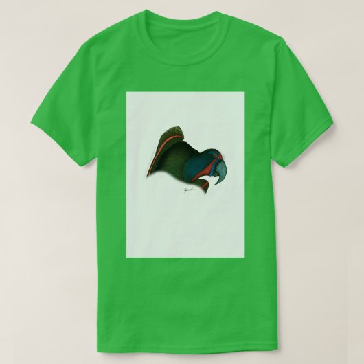 黒いローリー Tシャツ (デザイン正面)