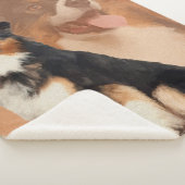 黒い三色のオーストラリアの羊飼い-オーストラリア人 シェルパブランケット (3/4)