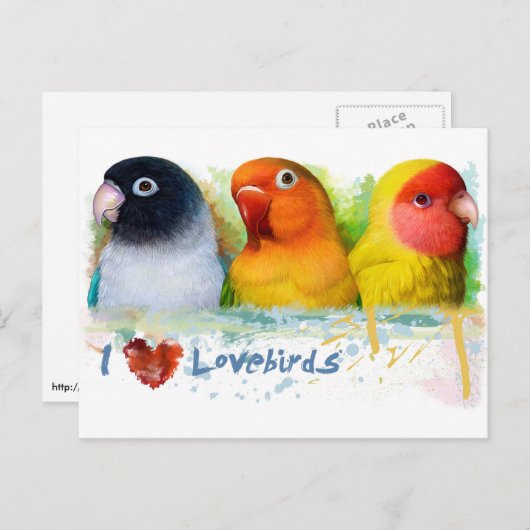 黒い仮面のフィッシャーLutino桃の顔ロベバード ポストカード (正面/裏面)