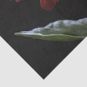 黒い側の赤いデイジー離れ1つ、デコページ 薄葉紙 (詳細)