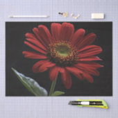 黒い側の赤いデイジー離れ1つ、デコページ 薄葉紙 (クラフト)