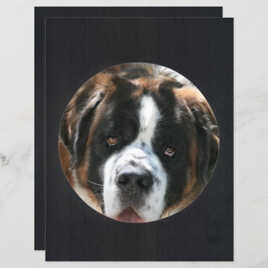 黒い円のフォトフレーム (正面/裏面)