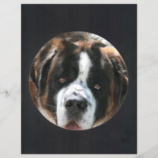 黒い円のフォトフレーム (正面)