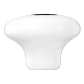 黒い円を描いたゴールデントンボ セラミックノブ (側面)