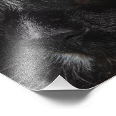 黒い写真の拡大 フォトプリント            (角)