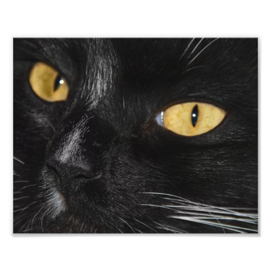 黒い写真の拡大 フォトプリント            (正面)