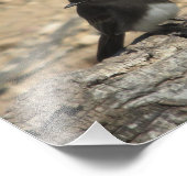 黒い写真カスタムの10インチx 8インチフォト拡大 フォトプリント            (角)