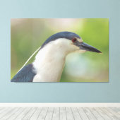 黒い冠をかぶったナイトヘロン キャンバスプリント (インサイチュ (ウッドフロア))