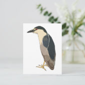 黒い冠を持つヤギ ポストカード (スタンド正面)