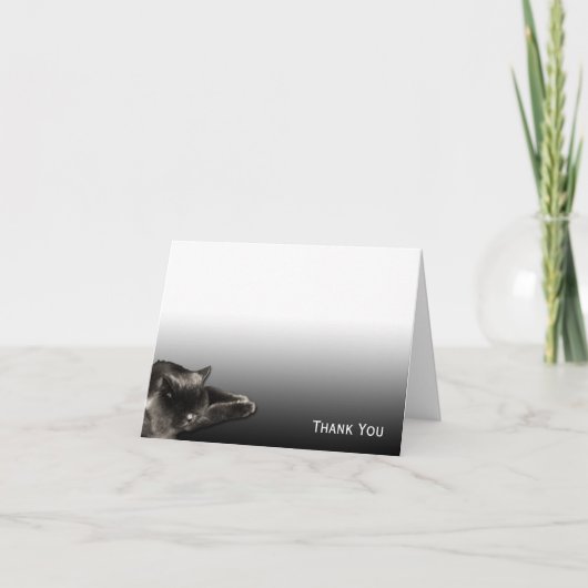 黒い勾配の睡眠の黒猫 サンキューカード (正面)