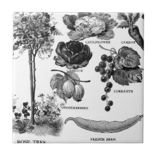 黒い及び白の夏の庭Botanicals タイル