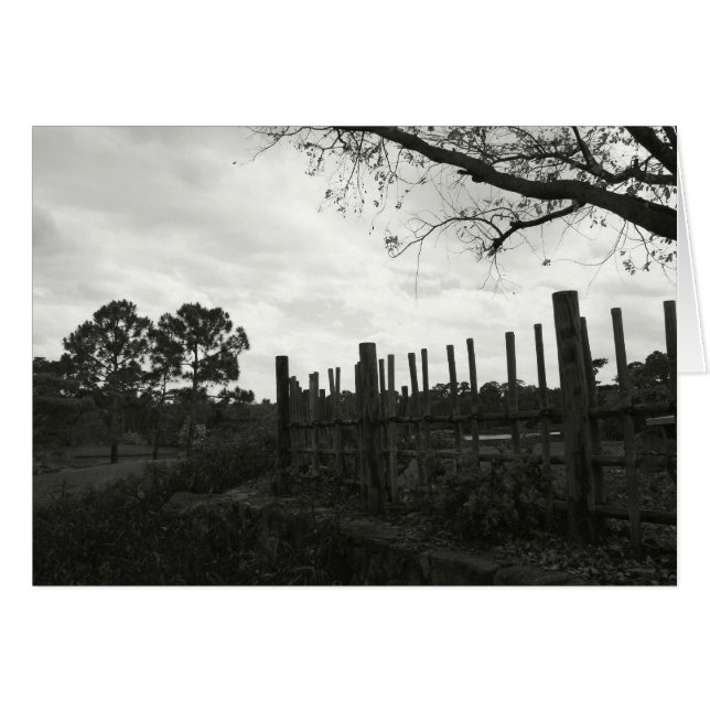 黒い及び白のMorikami (正面横)