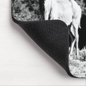 黒い及び白マウスパッドのKudu雄牛そして牛 マウスパッド (コーナー)