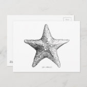 黒い及び白海の星の芸術を引いているヒトデ ポストカード (正面/裏面)
