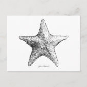 黒い及び白海の星の芸術を引いているヒトデ ポストカード (正面)