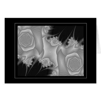 黒い及び白8 (バラ)