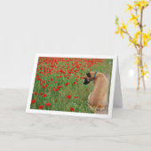 黒い口の犬とケシの花札 カード (黄色い花)