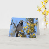 黒い喉の付いた雀 カード (黄色い花)