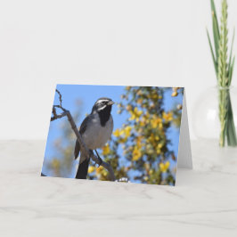 黒い喉の付いた雀 カード