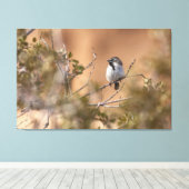 黒い喉の付いた雀 キャンバスプリント (インサイチュ (ウッドフロア))