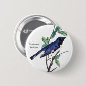 黒い喉の付いた青い反り羽、オードボン、バードピン、 缶バッジ (正面&裏面)