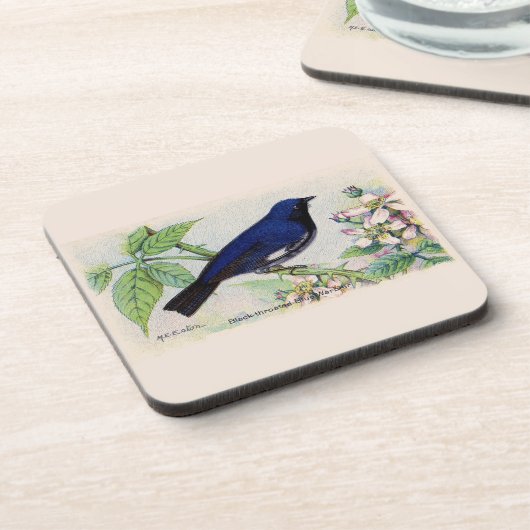 黒い喉の付いた青い反り コースター (左側)