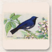 黒い喉の付いた青い反り コースター (正面)