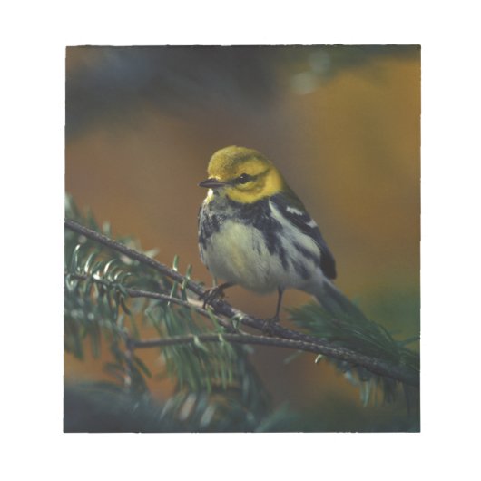 黒い喉を張ったウグイス ノートパッド (正面)