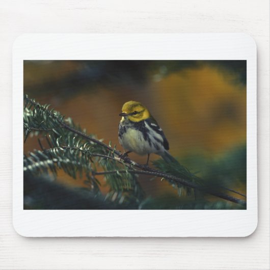 黒い喉を張ったウグイス マウスパッド (正面)