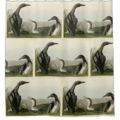 黒い喉を持つダイバーロンドゥボンバーズオブアメリカ シャワーカーテン (正面)