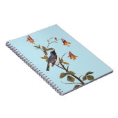 黒い喉を持つ青いウグイスのオードボンバードラバー ノートブック (右側)