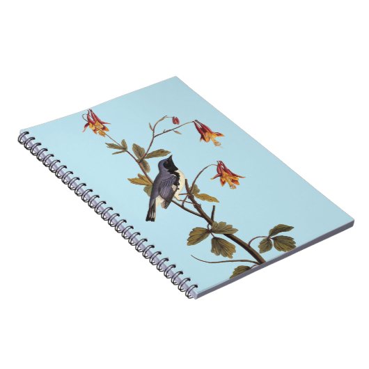 黒い喉を持つ青いウグイスのオードボンバードラバー ノートブック (右側)