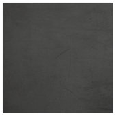 黒い威厳のある烏 ファブリック (見本)