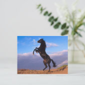 黒い威厳のある牡鹿 ポストカード (スタンド正面)