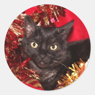 黒い子猫のクリスマス ラウンドシール