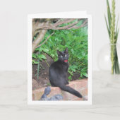 黒い子猫オンウォール カード (正面)