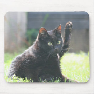 黒い子猫猫 マウスパッド