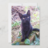 黒い子猫 カード (正面)