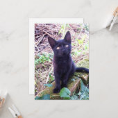 黒い子猫 カード (正面/裏面インサイチュ)
