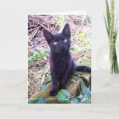 黒い子猫 カード (正面)