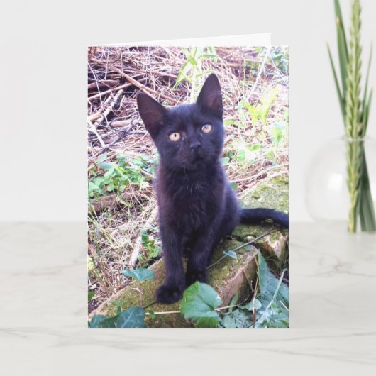 黒い子猫 カード (正面)