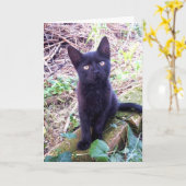黒い子猫 カード (黄色い花)