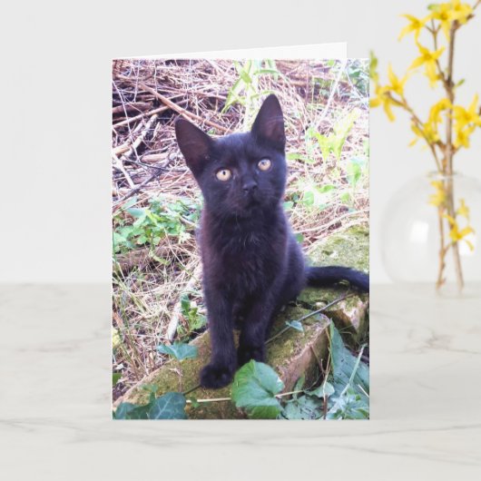 黒い子猫 カード (黄色い花)