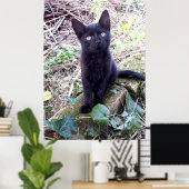 黒い子猫 ポスター (ホームオフィス)