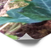 黒い子猫 ポスター (角)